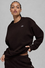 Accolade Crew Neck Pullover - Men/ Espresso Noir
